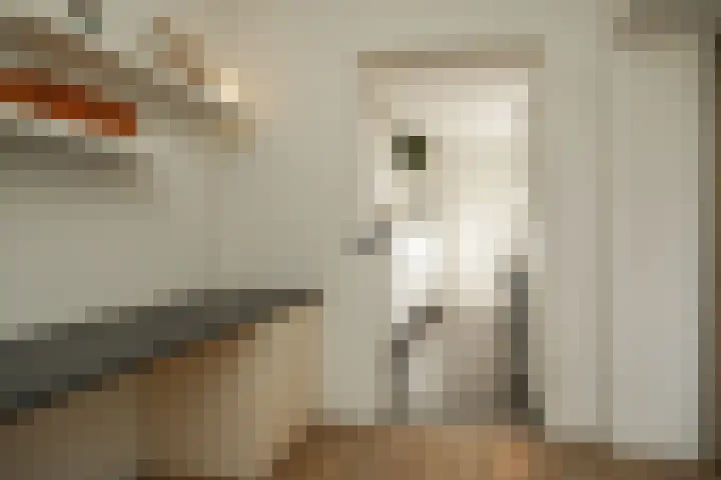 Dorpsstraat 97 Meeuwen thumbnail 8