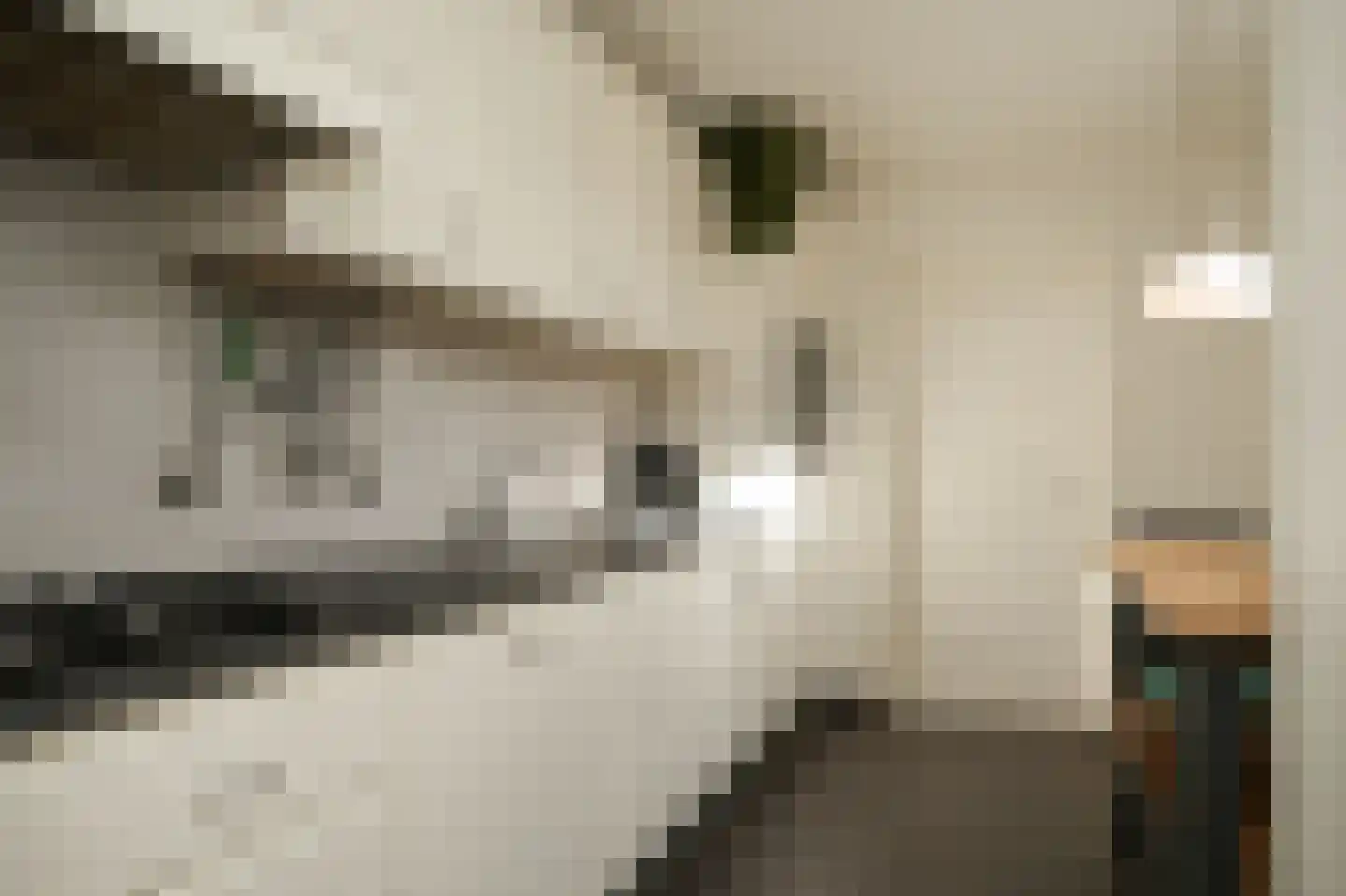 Dorpsstraat 97 Meeuwen thumbnail 9