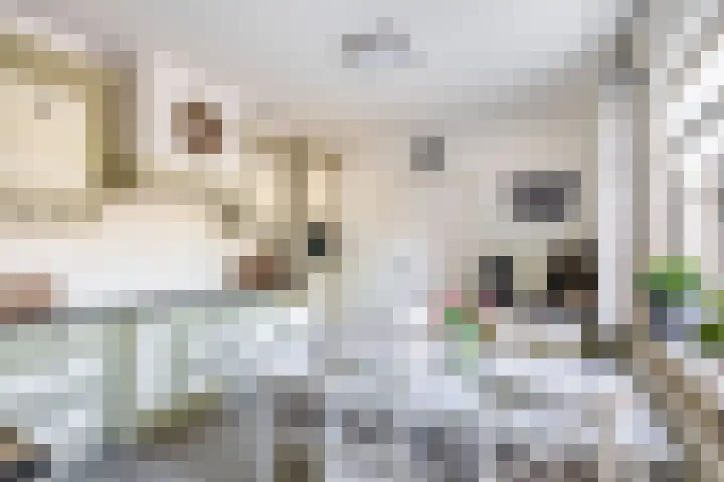 Dorpsstraat 97 Neerkant thumbnail 26