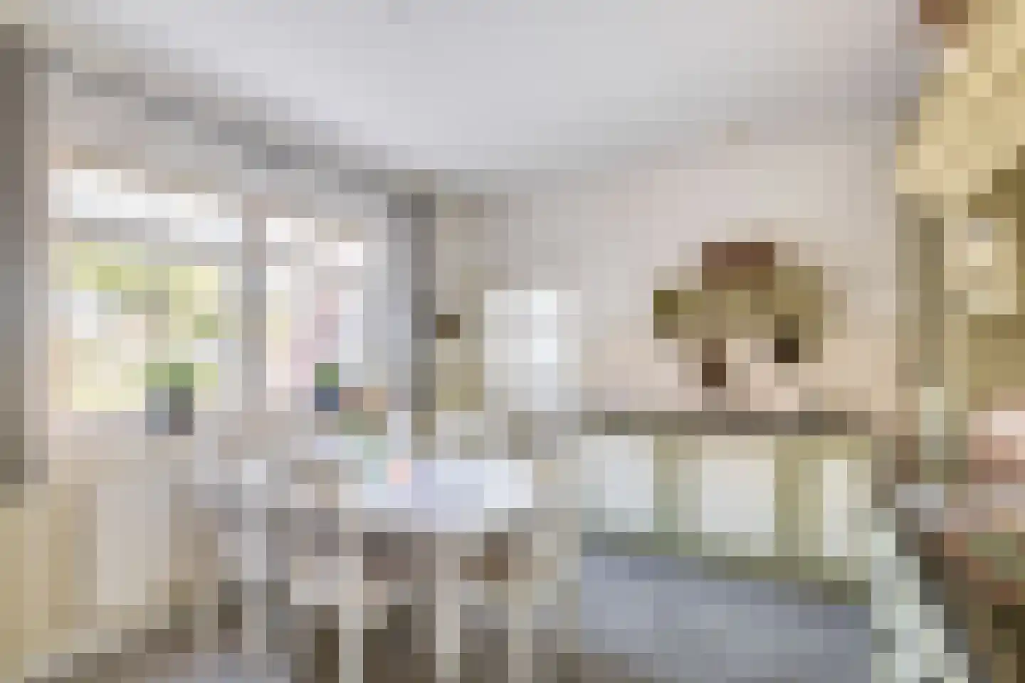 Dorpsstraat 97 Neerkant thumbnail 27