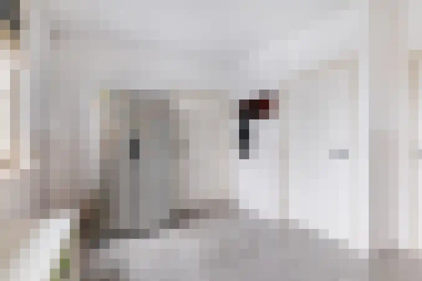 Dorpsstraat 97 Neerkant thumbnail 43