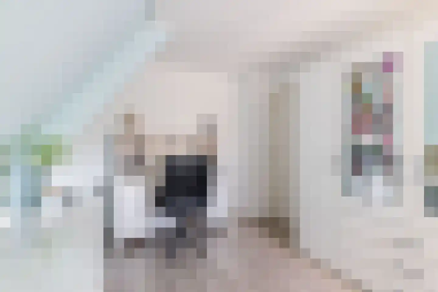 Dorpsstraat 97 Neerkant thumbnail 53
