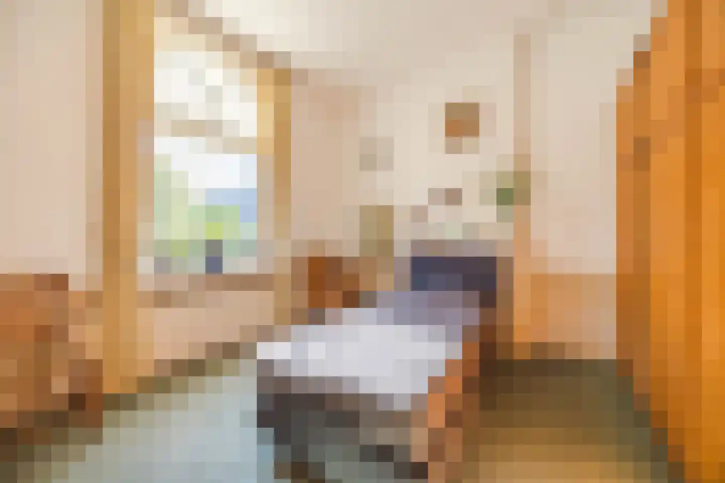 Dorpsstraat 97 Oud Gastel thumbnail 24