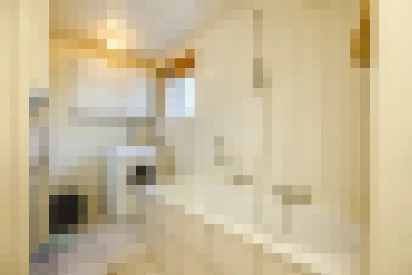 Dorpsstraat 97 Oud Gastel thumbnail 27
