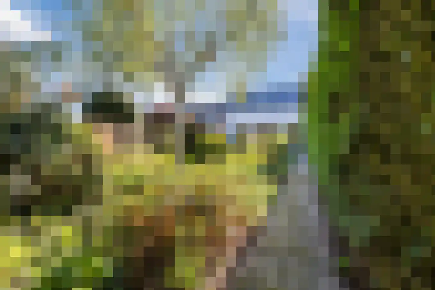 Dorpsstraat 97 Oud Gastel thumbnail 5