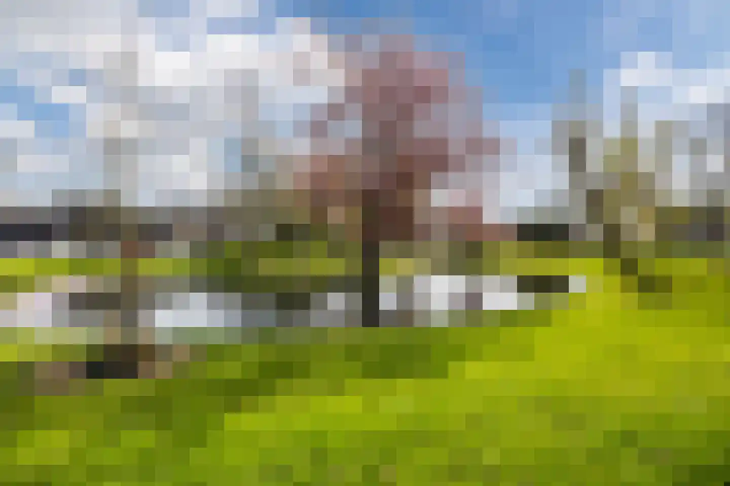 Dorpsstraat 97 Oud Gastel thumbnail 60