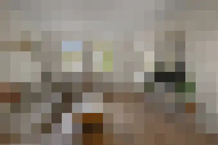 Dorpsstraat 975 Assendelft thumbnail 10