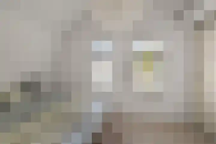 Dorpsstraat 975 Assendelft thumbnail 18
