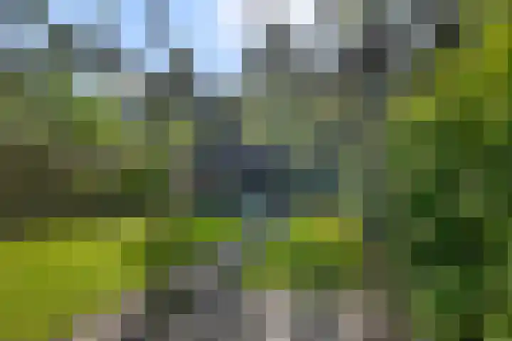 Dorpsstraat 975 Assendelft thumbnail 32