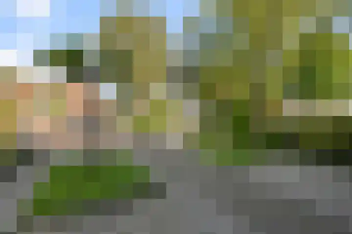 Dorpsstraat 975 Assendelft thumbnail 38