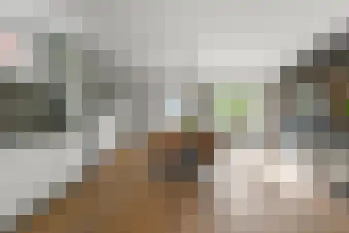 Dorpsstraat 975 Assendelft thumbnail 4