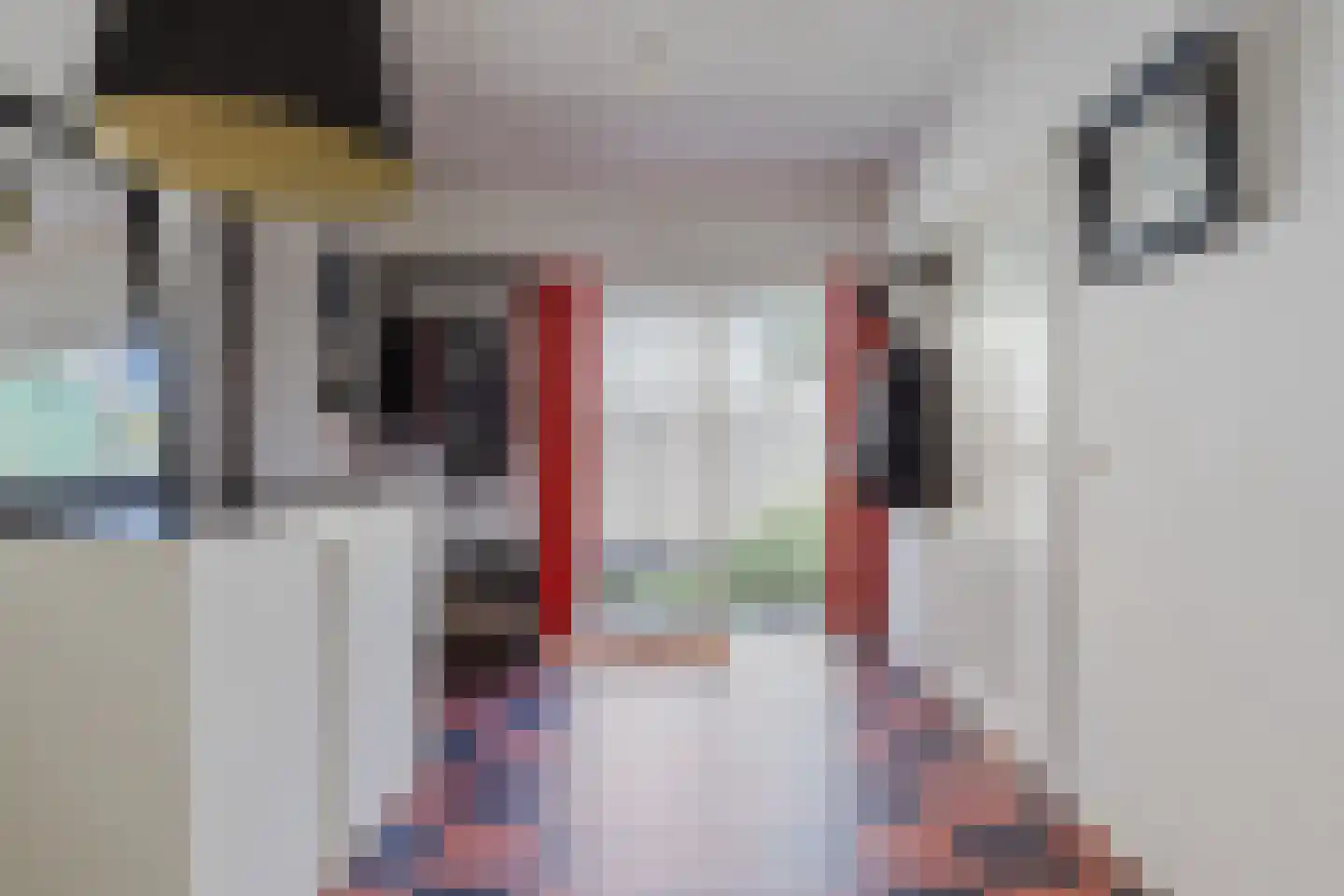 Dorpsstraat 977 Assendelft thumbnail 19