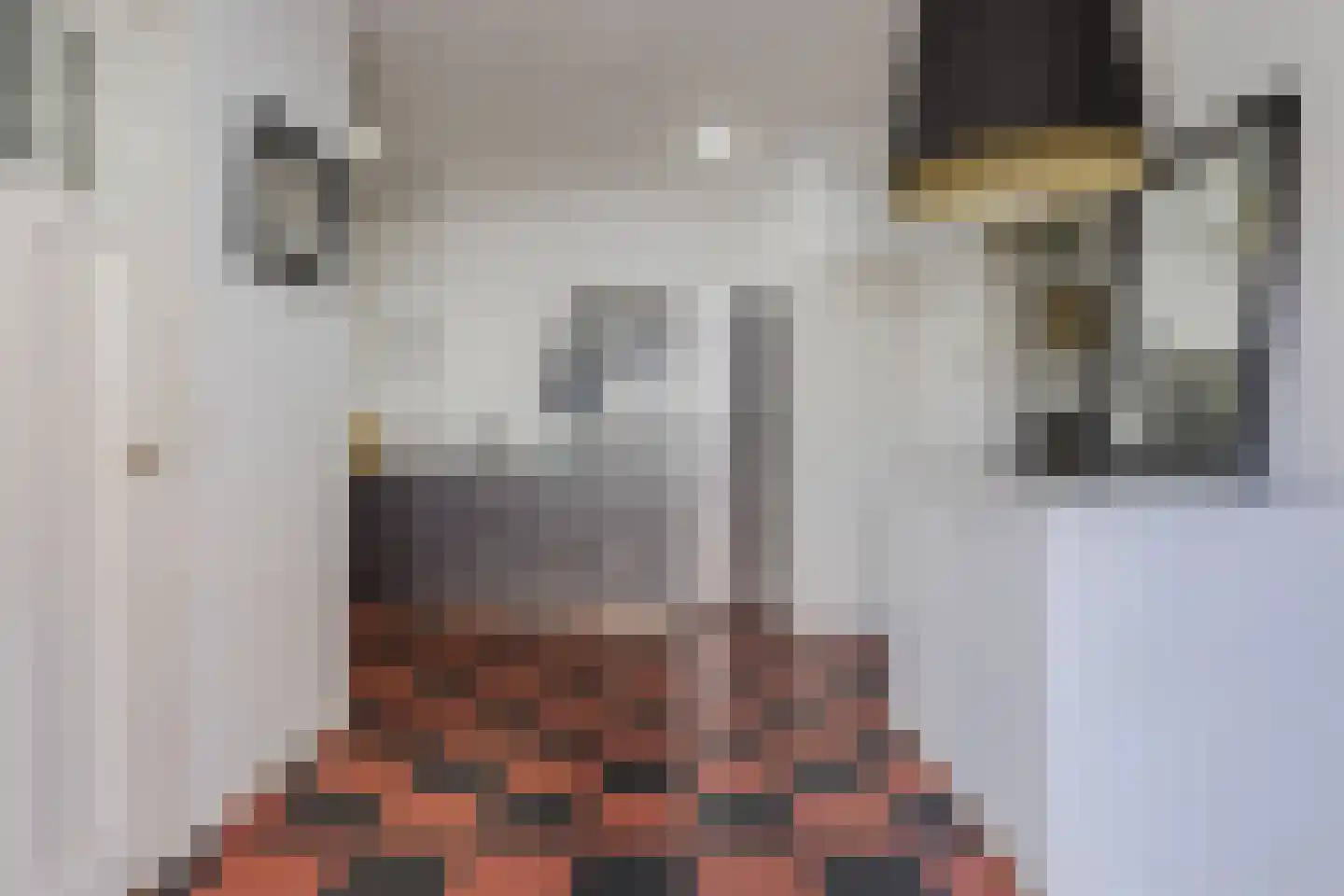 Dorpsstraat 977 Assendelft thumbnail 20