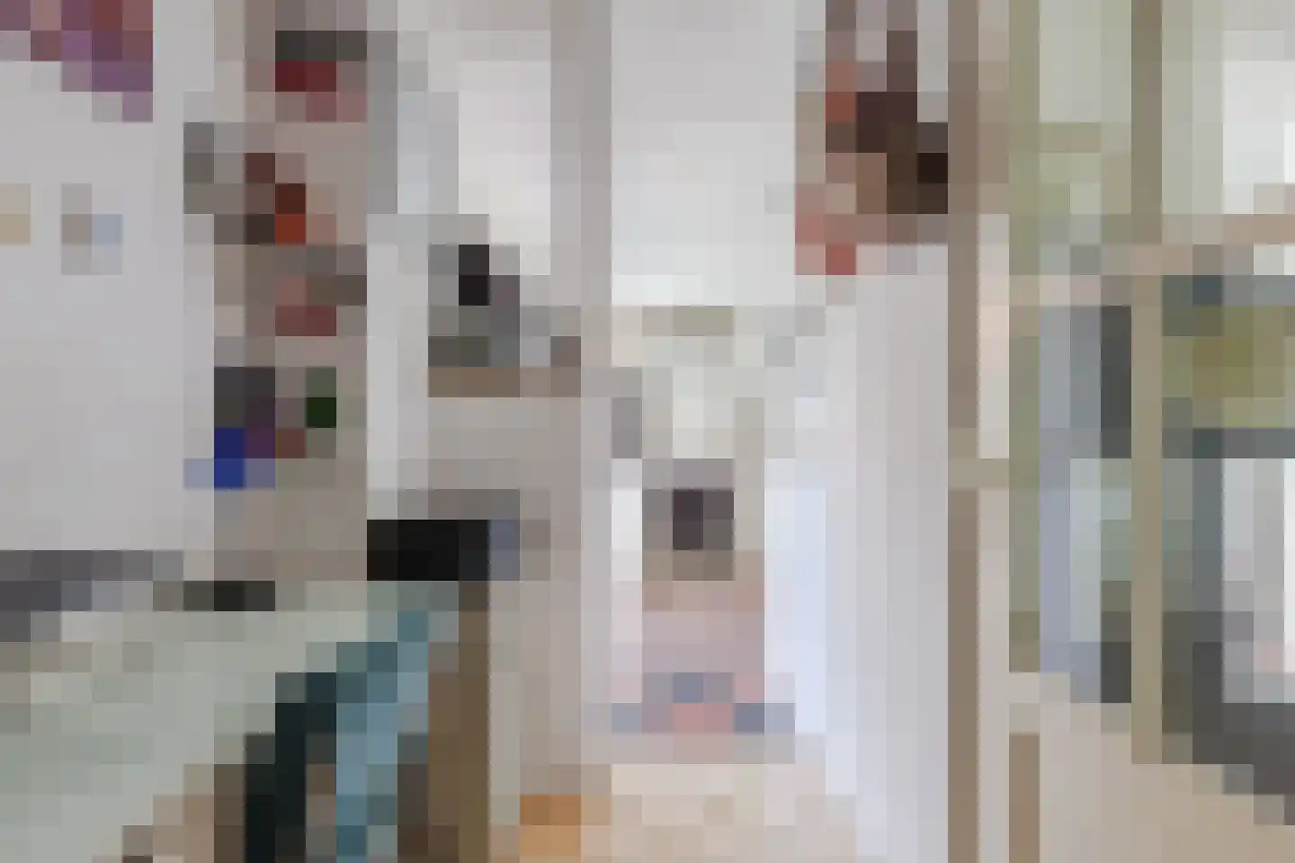Dorpsstraat 977 Assendelft thumbnail 23
