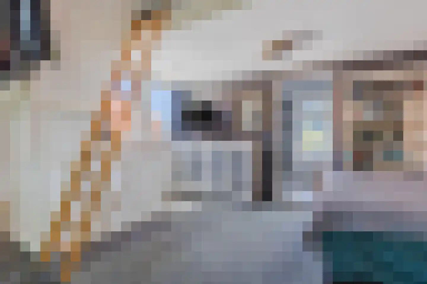 Dorpsstraat 977 Assendelft thumbnail 30