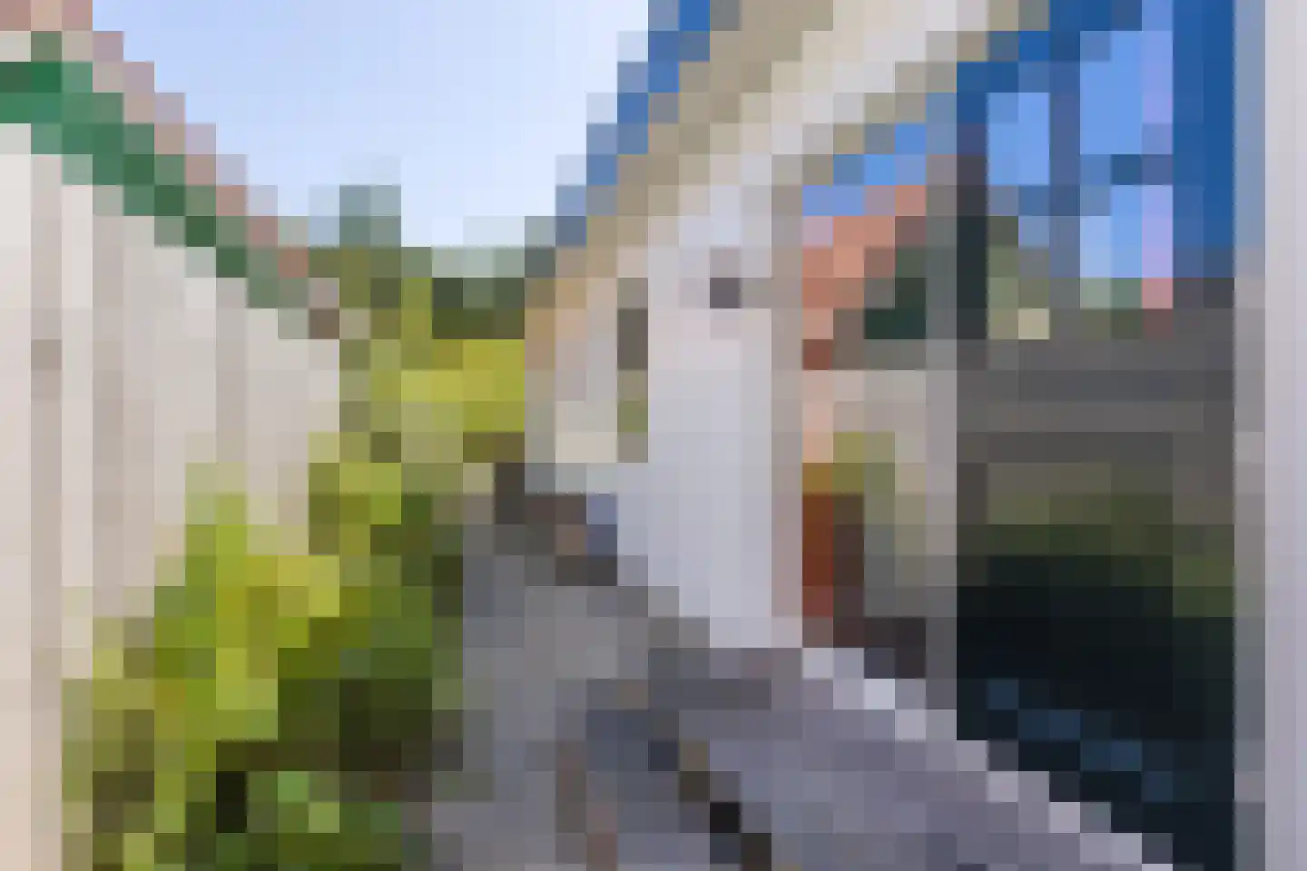 Dorpsstraat 977 Assendelft thumbnail 36