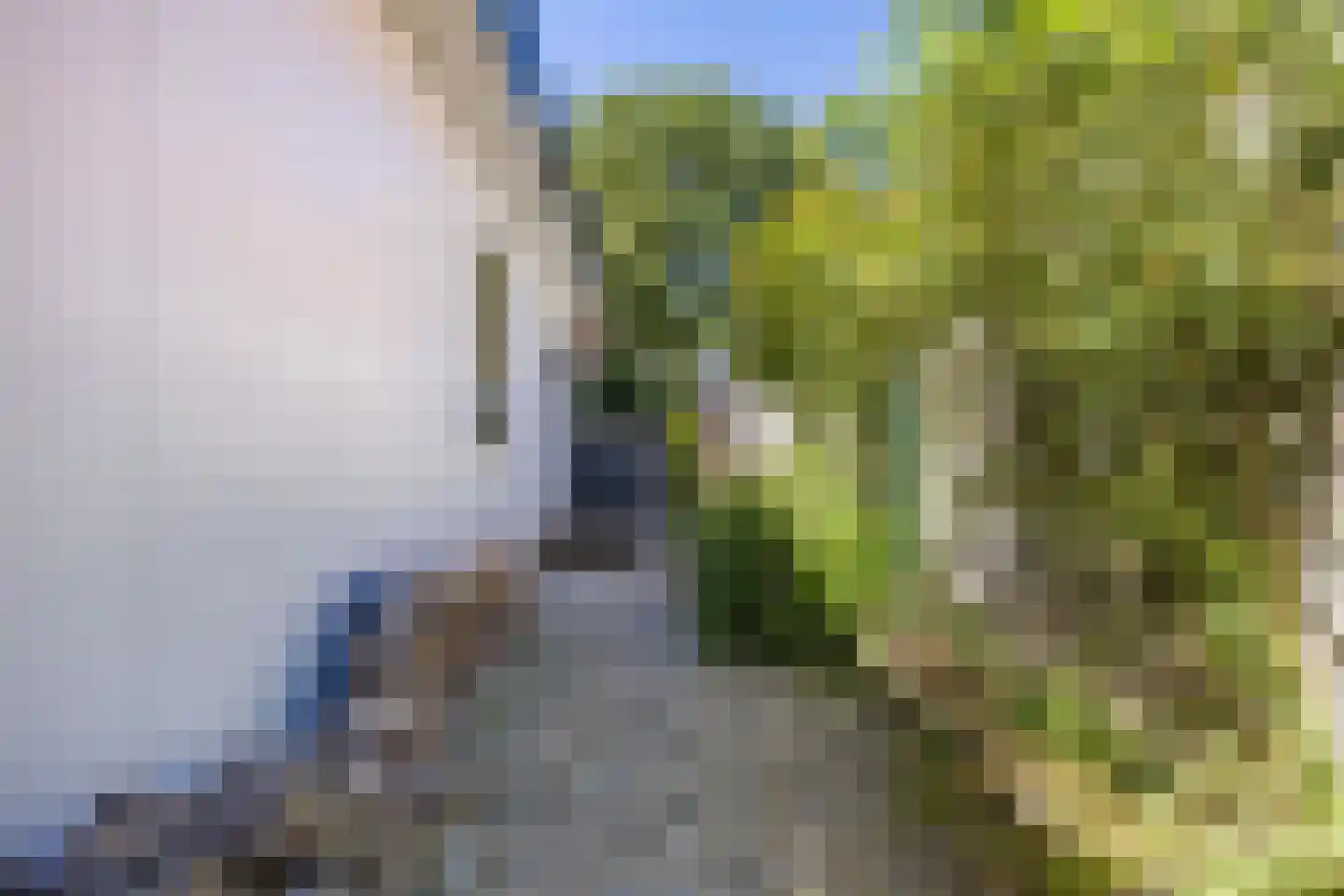 Dorpsstraat 977 Assendelft thumbnail 37