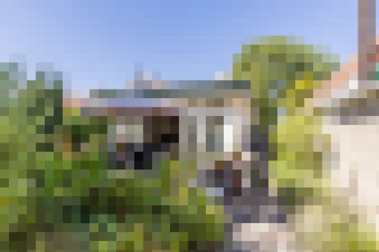 Dorpsstraat 977 Assendelft thumbnail 43