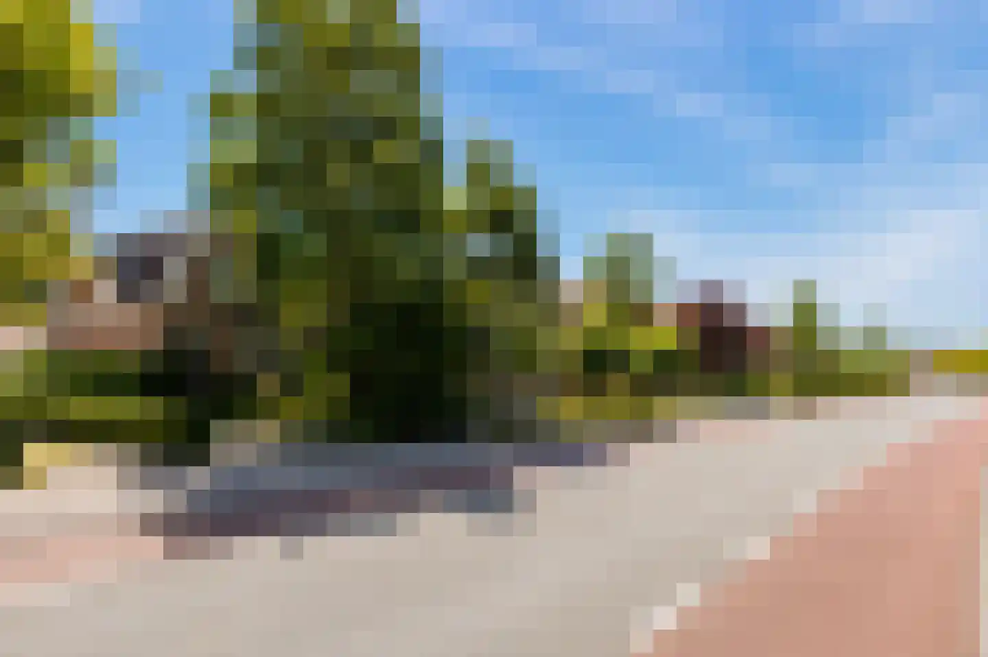 Dorpsstraat 977 Assendelft thumbnail 5