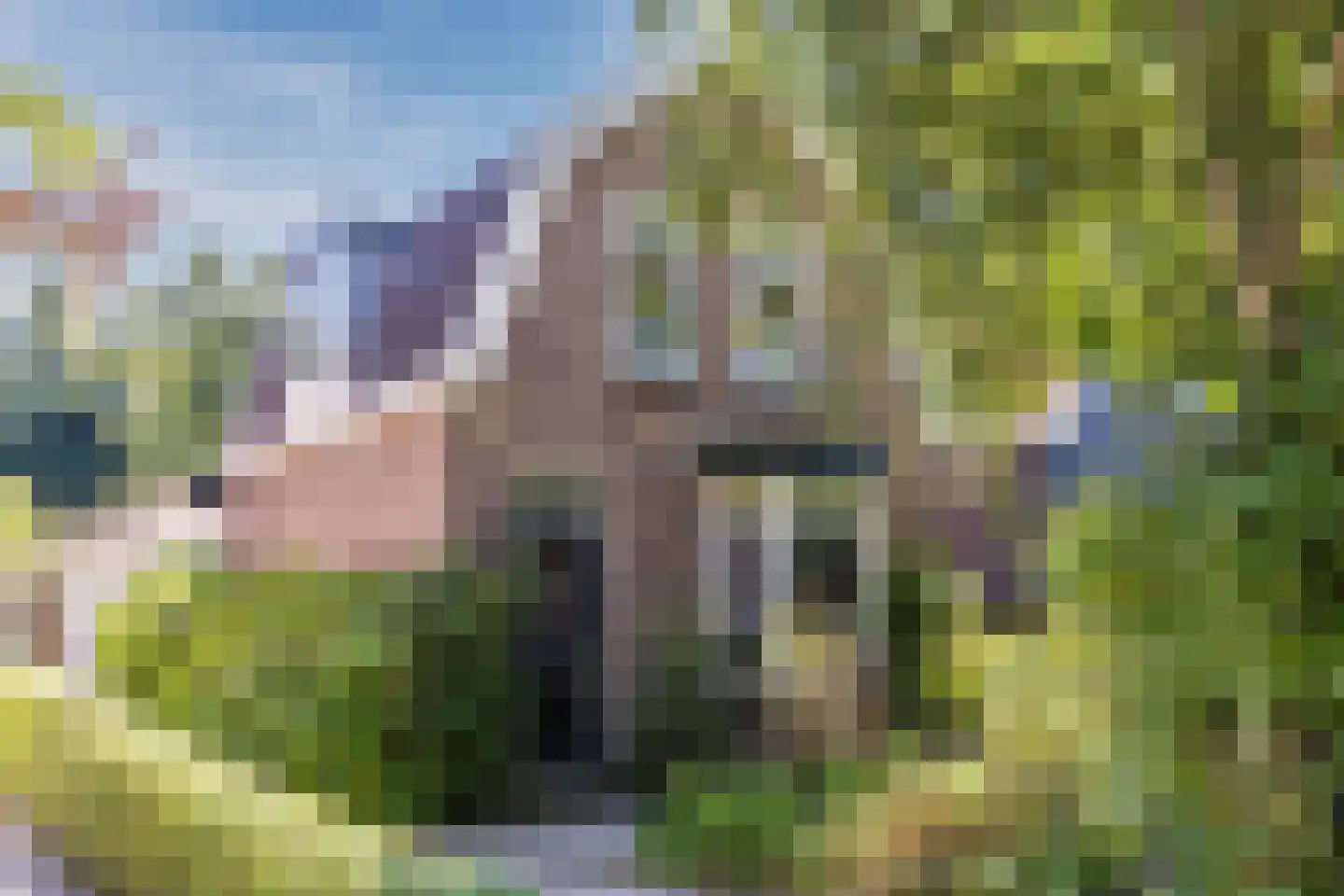 Dorpsstraat 977 Assendelft thumbnail 59