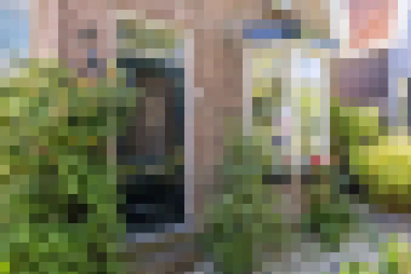 Dorpsstraat 977 Assendelft thumbnail 60