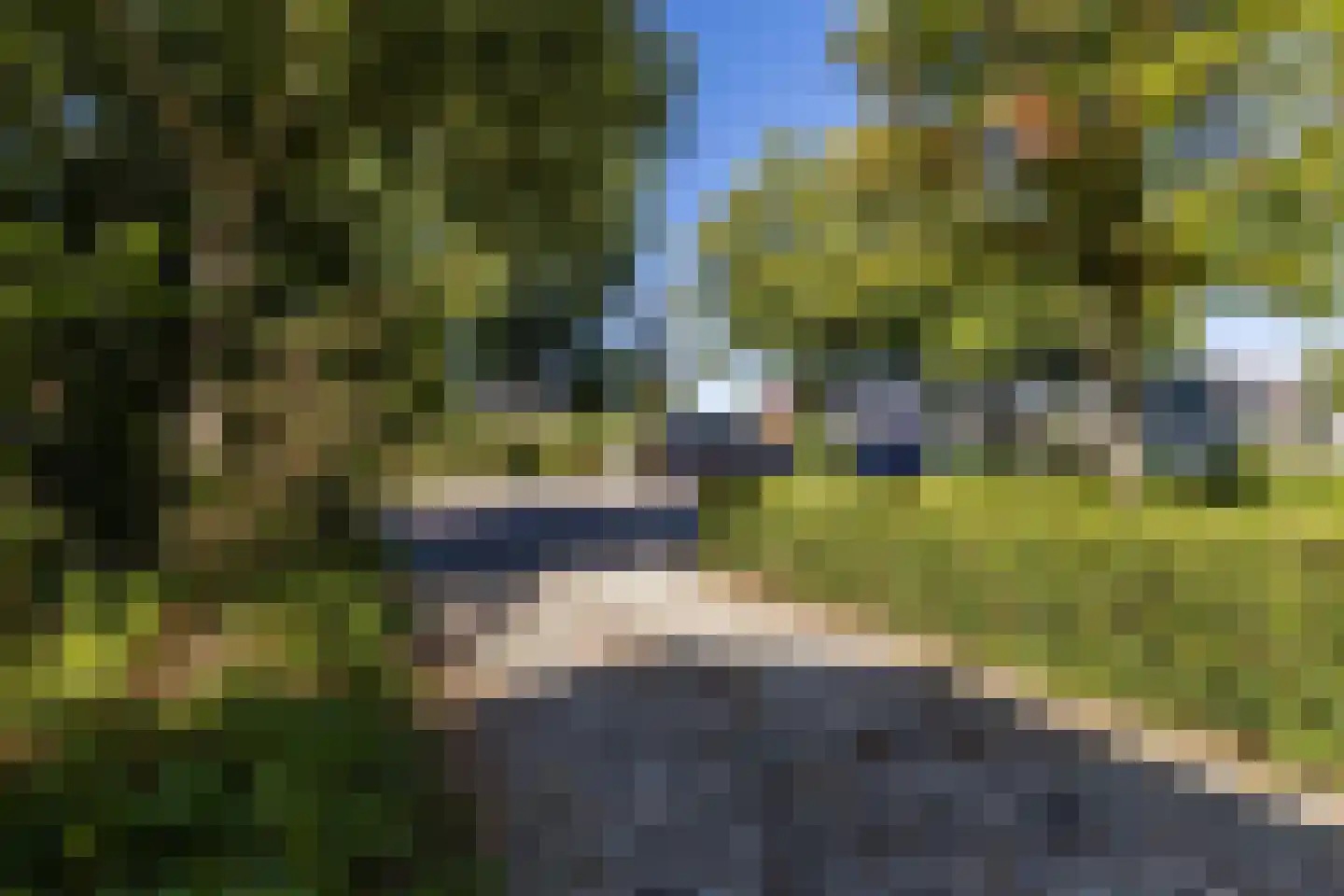 Dorpsstraat 977 Assendelft thumbnail 61