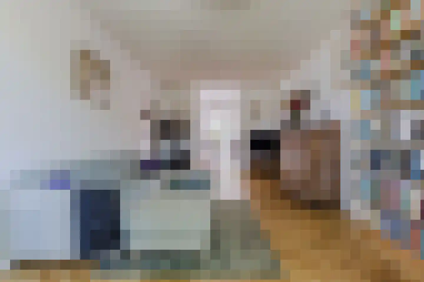 Dorpsstraat 977 Assendelft thumbnail 8