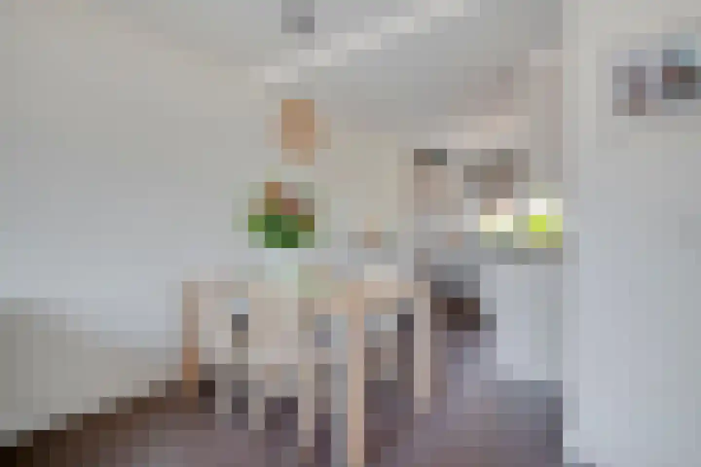Dorpsstraat 98 Noordwijkerhout thumbnail 10