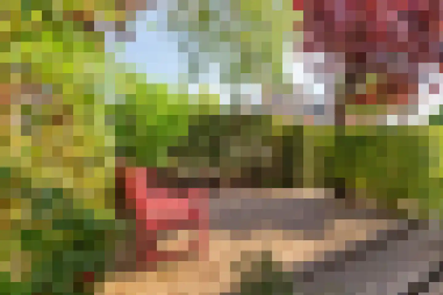 Dorpsstraat 98 Noordwijkerhout thumbnail 40