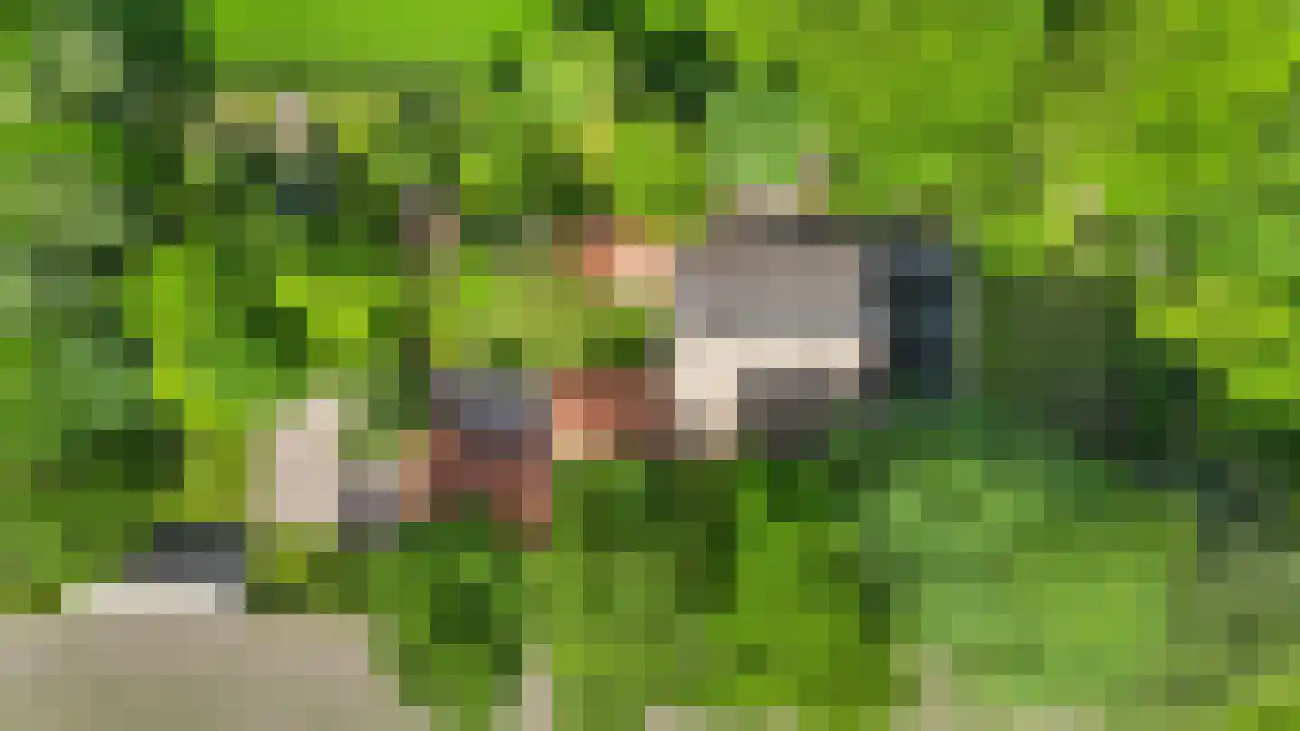 Dorpsstraat 98 Vriescheloo thumbnail 10