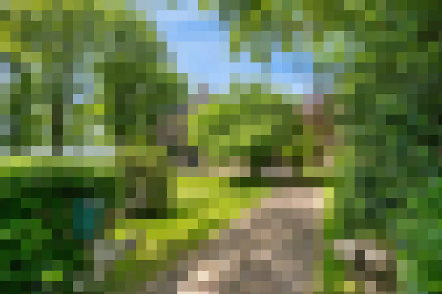 Dorpsstraat 98 Vriescheloo thumbnail 13
