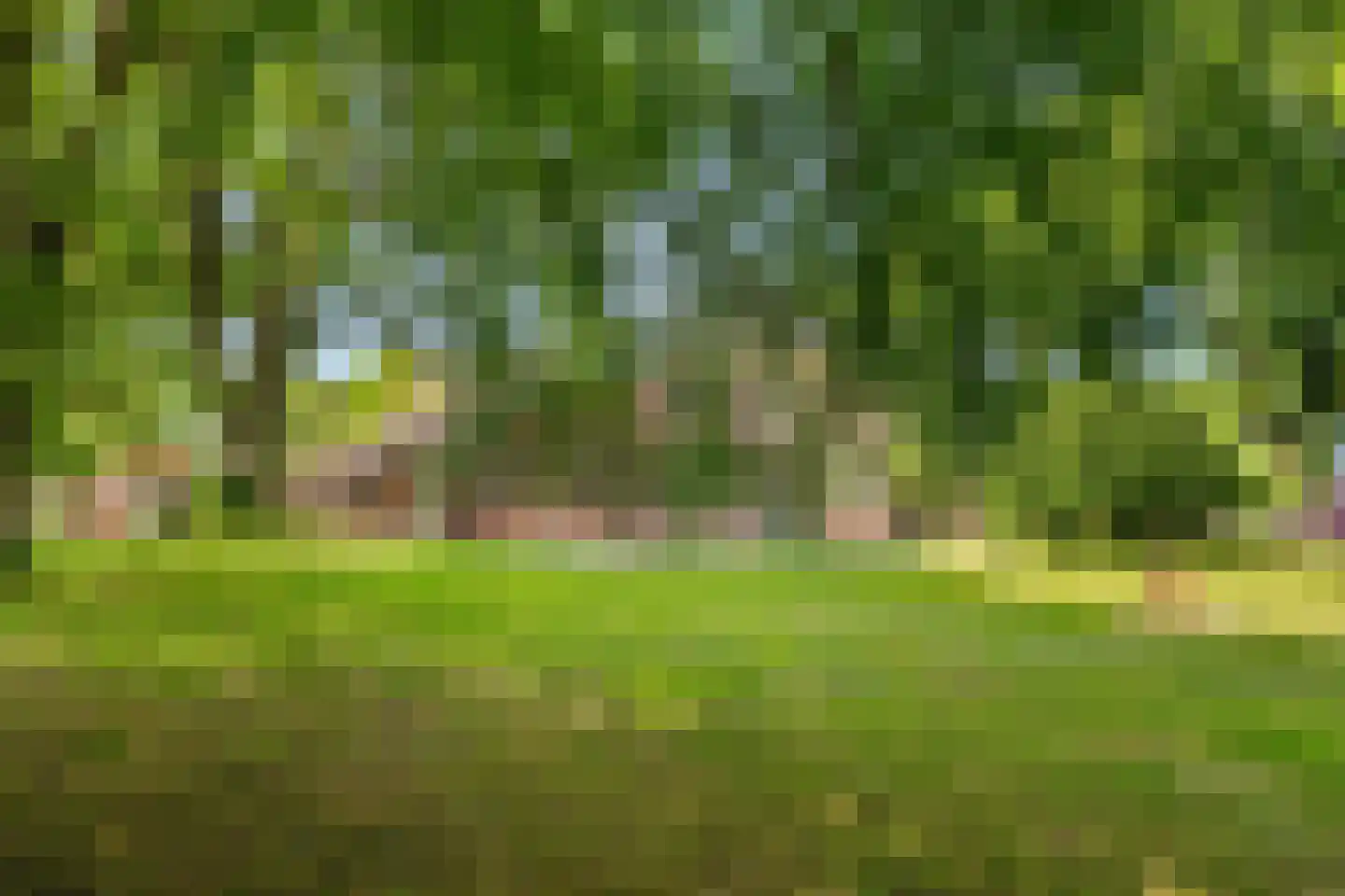 Dorpsstraat 98 Vriescheloo thumbnail 14