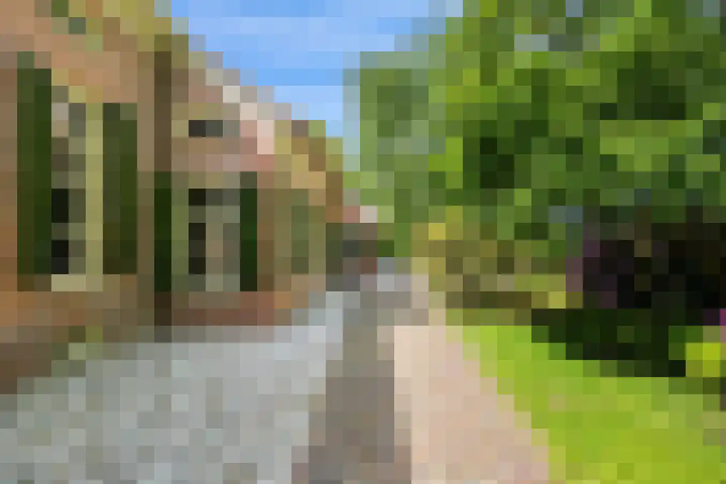 Dorpsstraat 98 Vriescheloo thumbnail 15