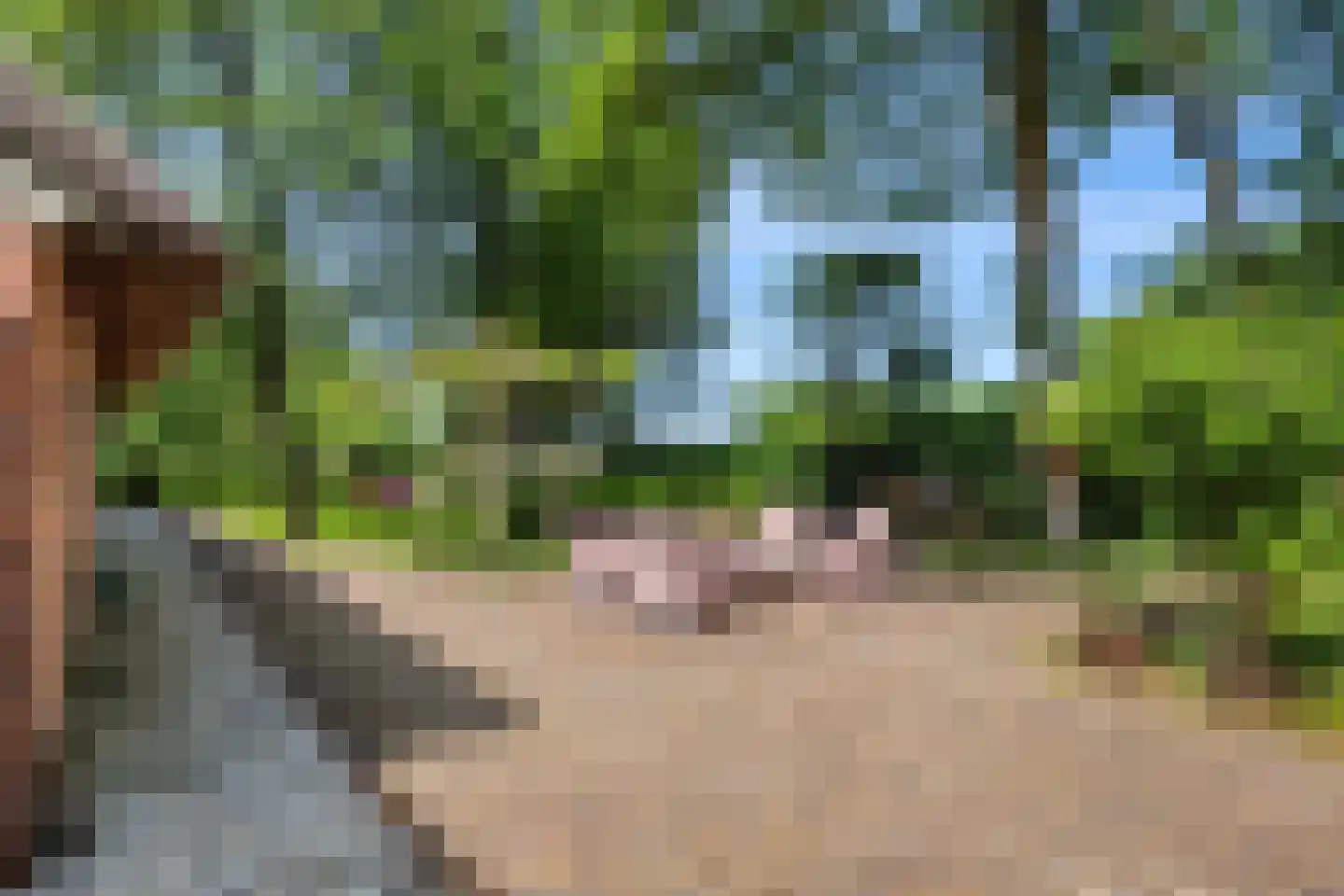 Dorpsstraat 98 Vriescheloo thumbnail 16