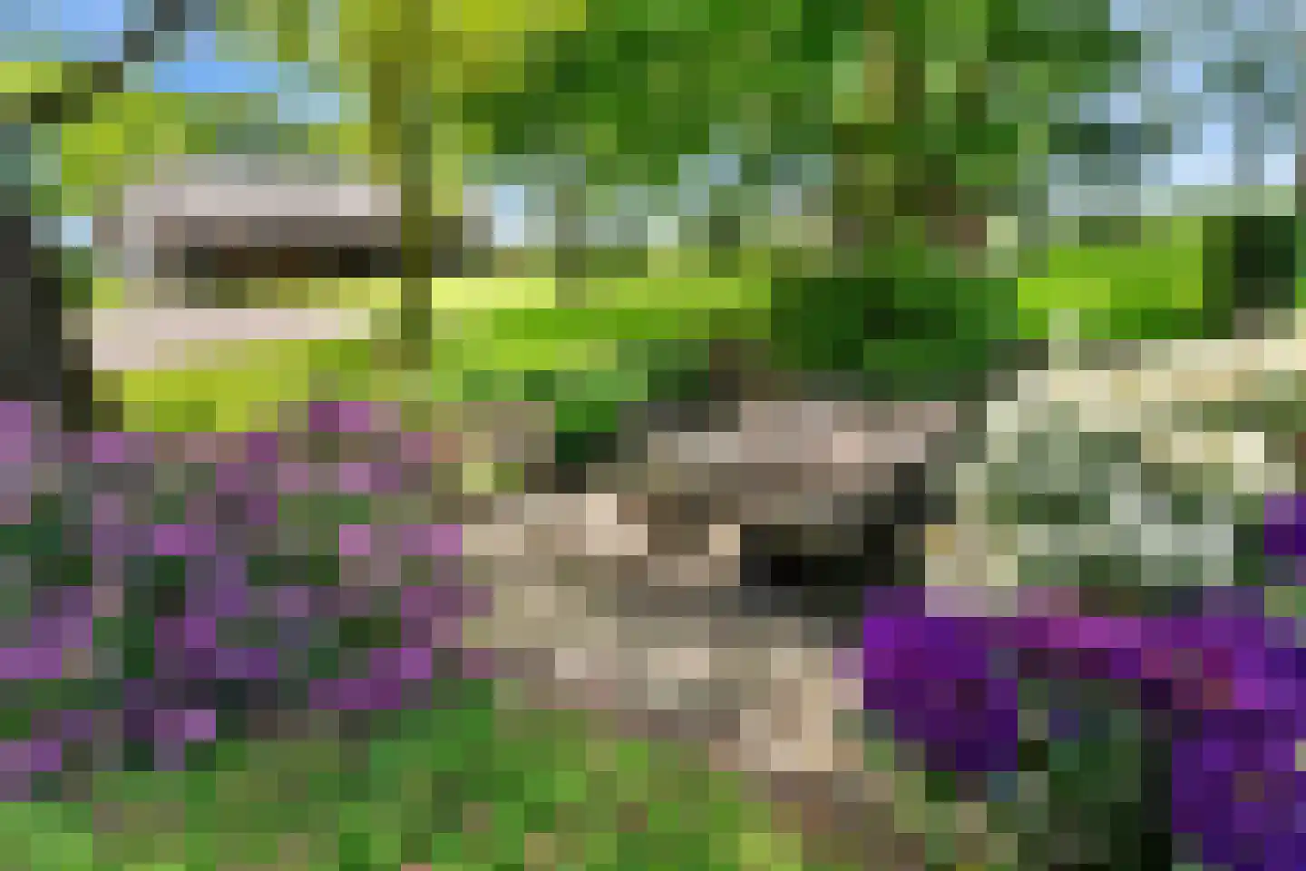 Dorpsstraat 98 Vriescheloo thumbnail 17