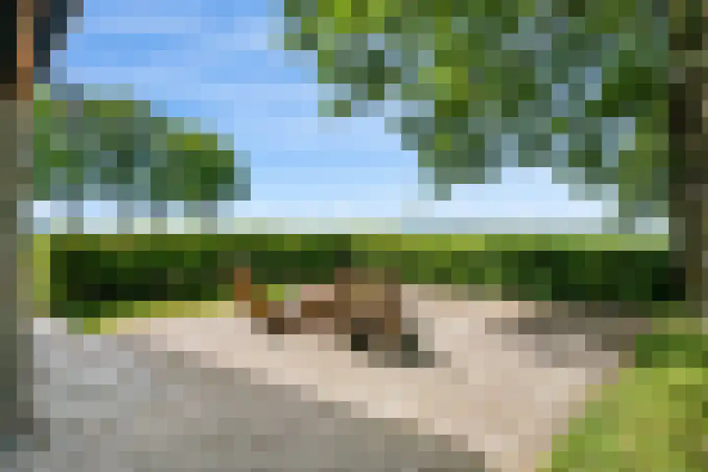 Dorpsstraat 98 Vriescheloo thumbnail 19