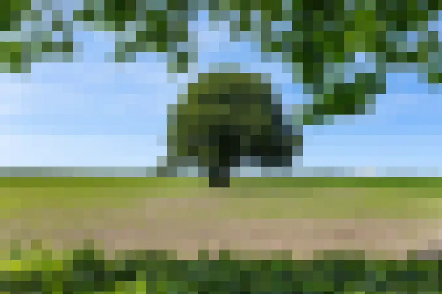 Dorpsstraat 98 Vriescheloo thumbnail 20