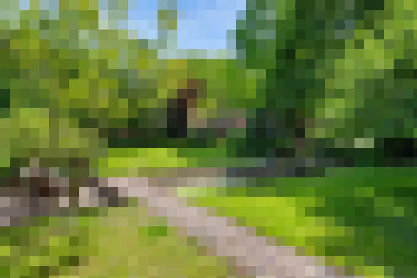 Dorpsstraat 98 Vriescheloo thumbnail 22