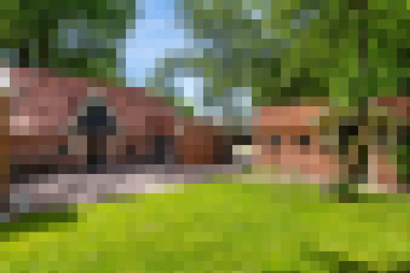 Dorpsstraat 98 Vriescheloo thumbnail 23