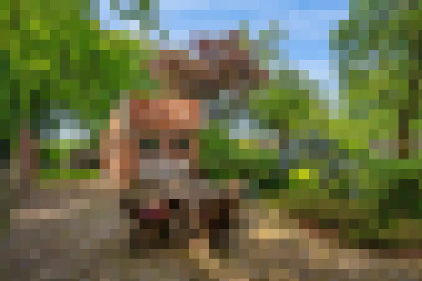 Dorpsstraat 98 Vriescheloo thumbnail 26