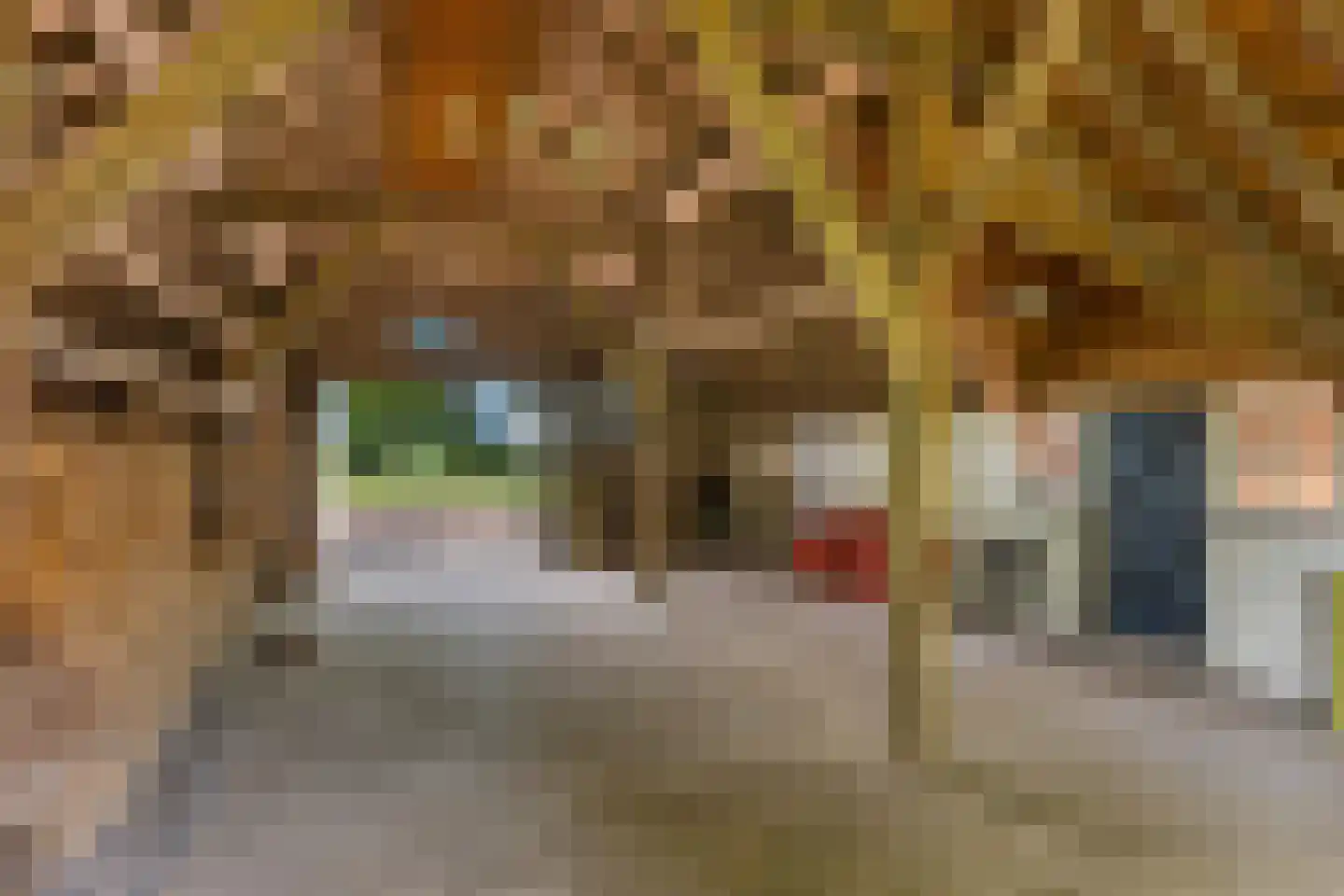 Dorpsstraat 98 Vriescheloo thumbnail 29