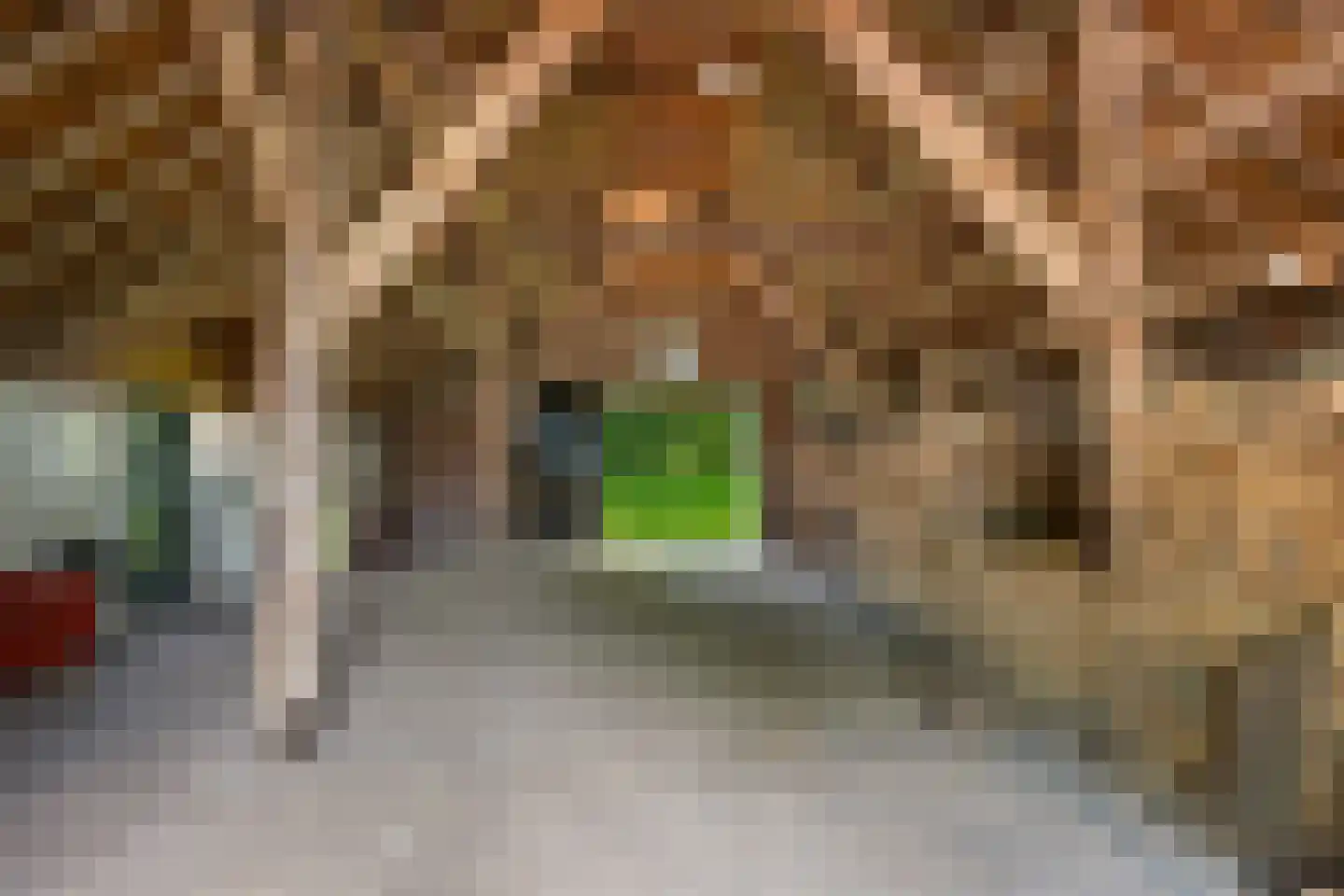 Dorpsstraat 98 Vriescheloo thumbnail 30