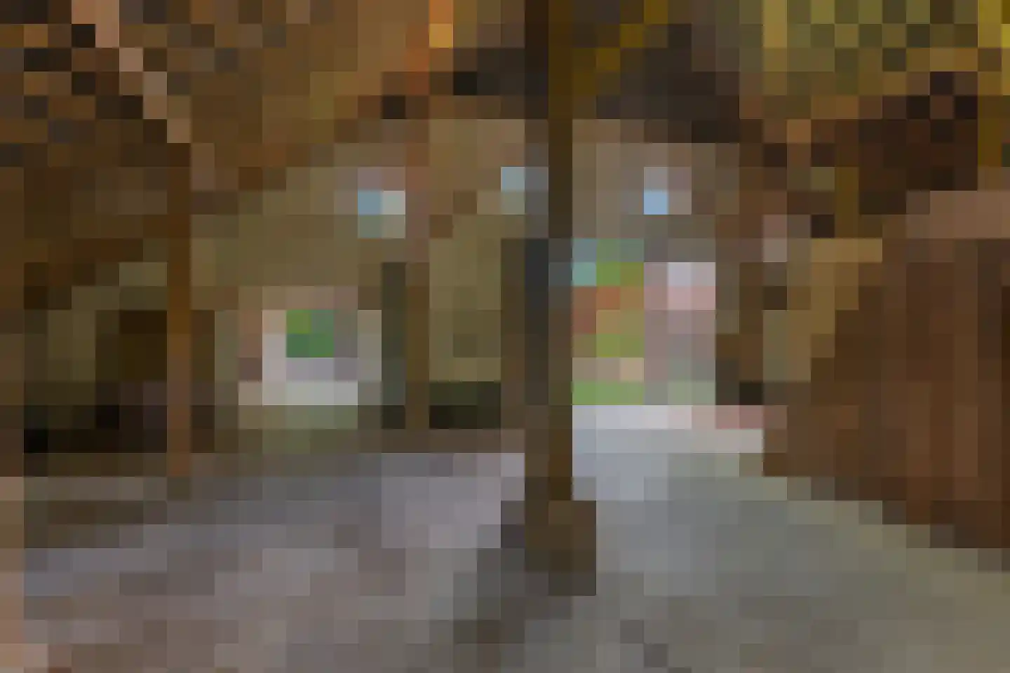 Dorpsstraat 98 Vriescheloo thumbnail 33