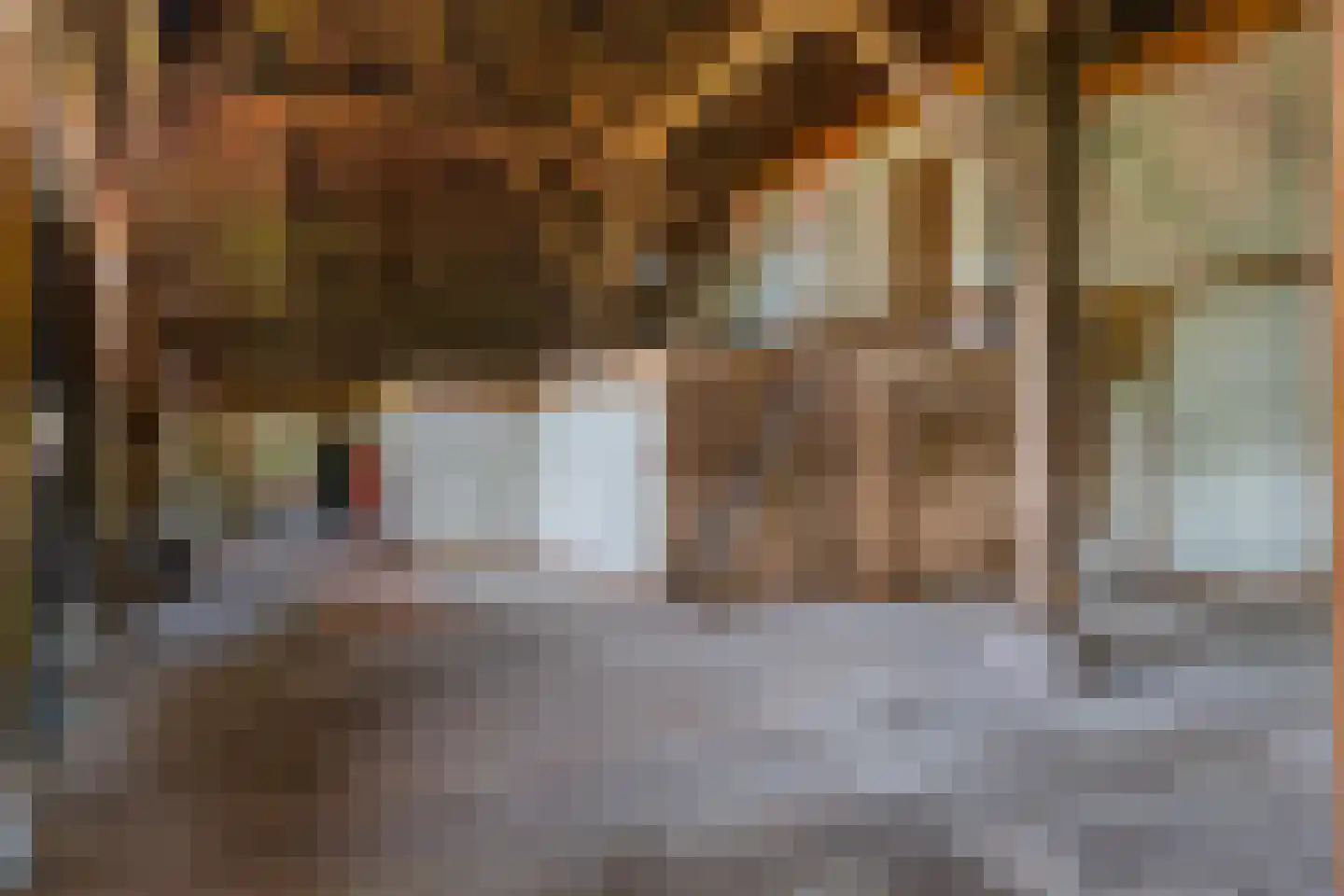 Dorpsstraat 98 Vriescheloo thumbnail 34