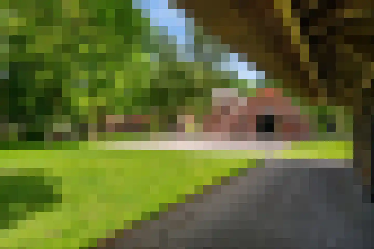 Dorpsstraat 98 Vriescheloo thumbnail 36