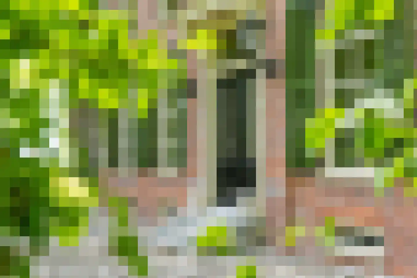 Dorpsstraat 98 Vriescheloo thumbnail 40