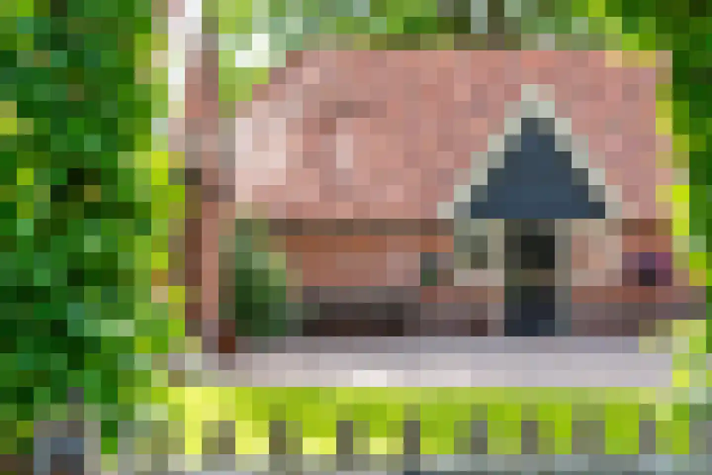 Dorpsstraat 98 Vriescheloo thumbnail 43