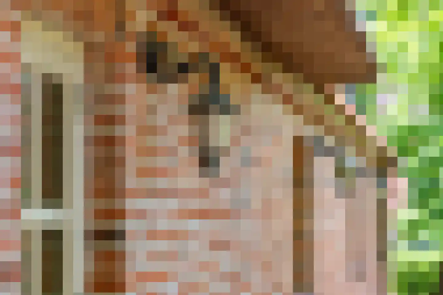 Dorpsstraat 98 Vriescheloo thumbnail 45