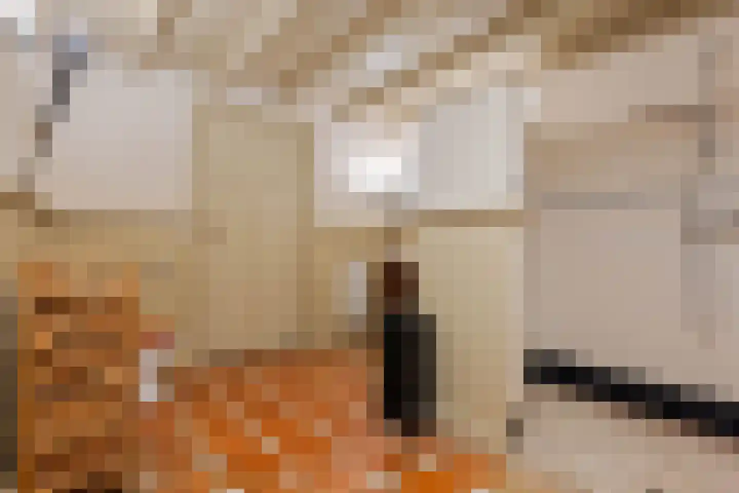 Dorpsstraat 98 Vriescheloo thumbnail 49