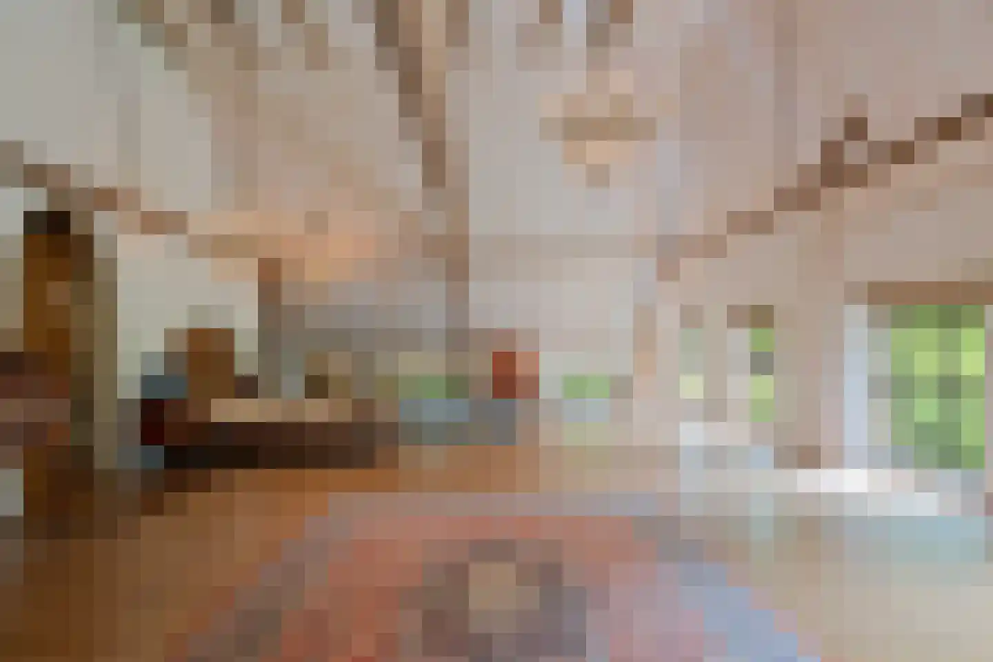 Dorpsstraat 98 Vriescheloo thumbnail 5